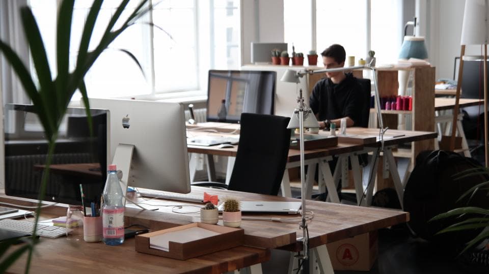 A shared office of long desks and monitors, with plants along the window